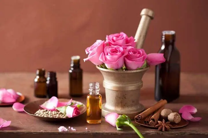 آخرین پیش بینی برداشت گل محمدی در گناباد