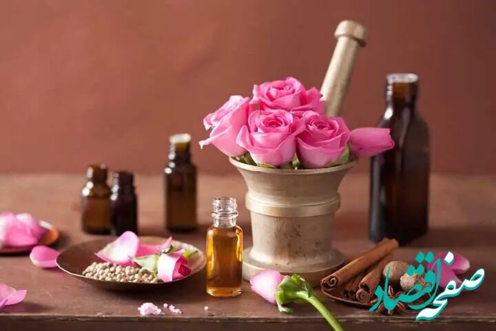 آخرین پیش بینی برداشت گل محمدی در گناباد