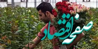 مناسبت های جدید با نام محصولات کشاورزی در تقویم رسمی کشور