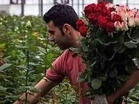 مناسبت های جدید با نام محصولات کشاورزی در تقویم رسمی کشور
