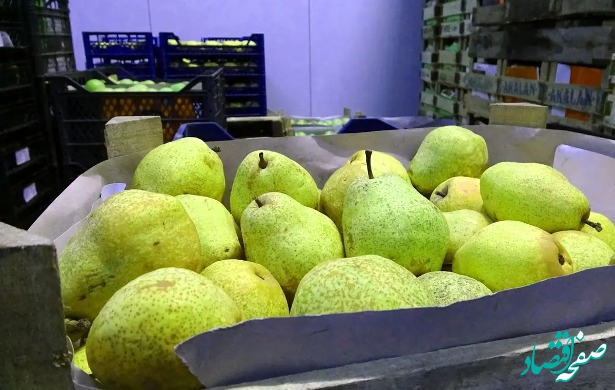 قیمت امروز میوه و صیفی‌جات در مشهد (۲۷ آذر ۱۴۰۳) | گلابی از ۲۰ تا ۴۰ هزار تومان در میادین تره‌بار