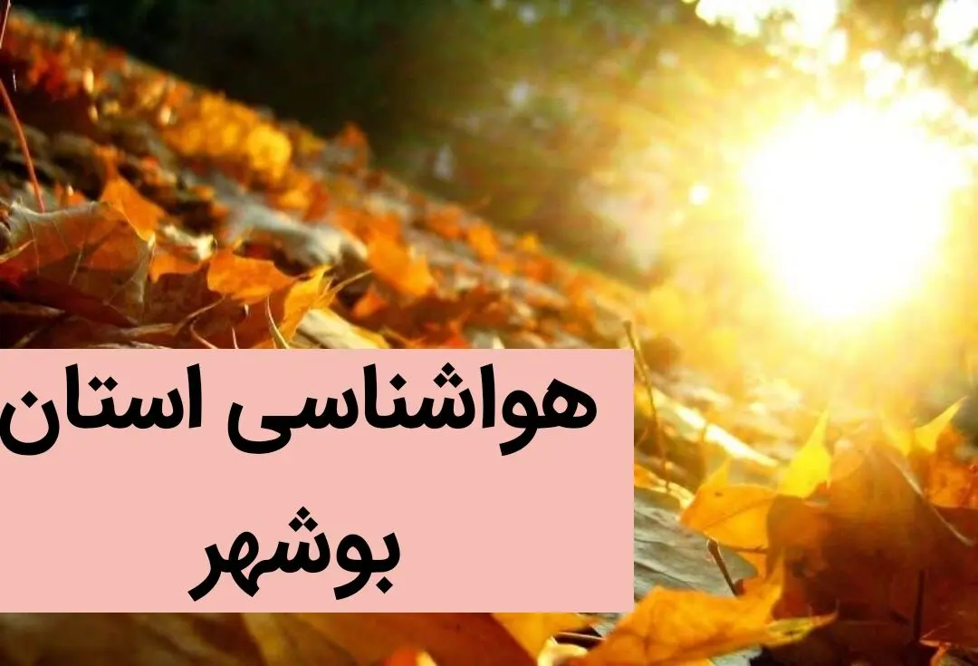 هواشناسی بوشهر ۲۴ ساعت آینده | پیش بینی وضعیت آب و هوا بوشهر فردا دوشنبه ۵ آذر ماه ۱۴۰۳