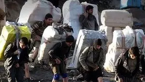 خبر رسمی از ممنوعیت واردات کوله بری یخچال‌فریزر، ماشین لباسشویی 