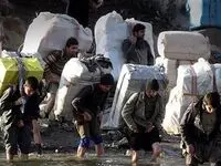 خبر رسمی از ممنوعیت واردات کوله بری یخچال‌فریزر، ماشین لباسشویی 