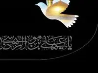 آمادگی خدمات پس از فروش ایران‌خودرو برای ارایه خدمات ویژه به زائران امام رضا(ع)