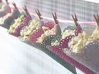 تزئین پفیلا شب یلدا تک نفره برای مدرسه و در ظرف برای دورهمی + آموزش درست کردن پفیلا