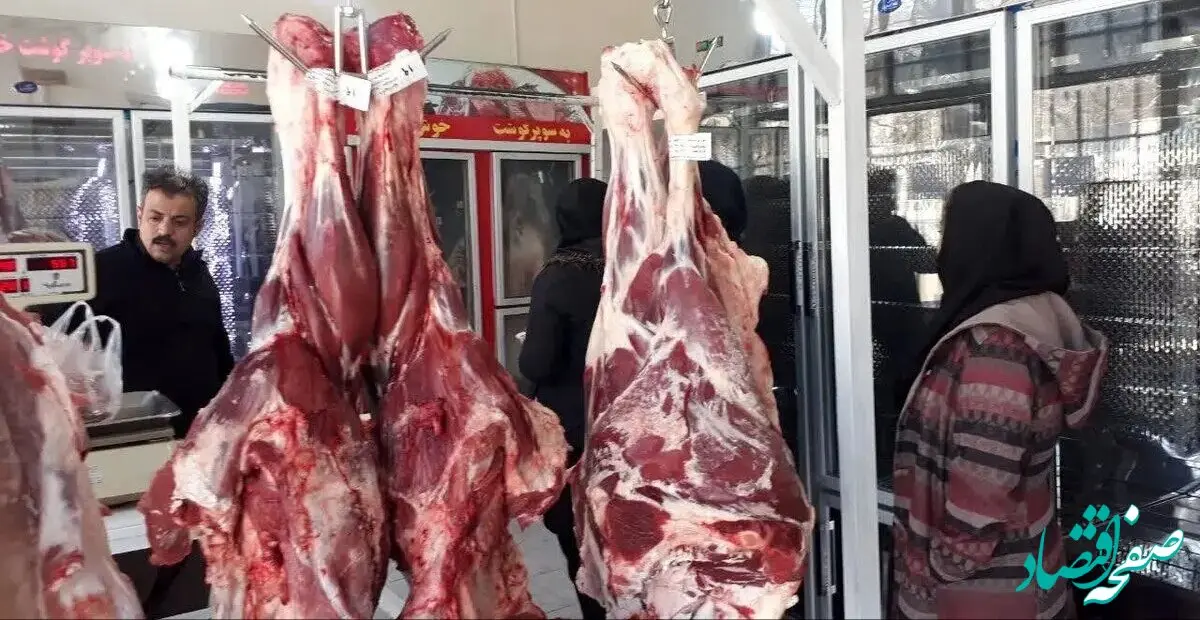 آخرین خبر از واردات بی‌رویه ۷۰ هزار تن گوشت قرمز به کشور