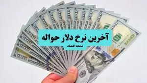 حواله دلار امروز دوشنبه ۲۳ شهریور چقدر شد؟ 
