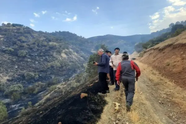 آخرین خبر از وضعیت آتش سوزی کوه «آوالان» کامیاران | چند هکتار از مراتع در آتش سوختند؟ | با خاطیان برخورد می شود