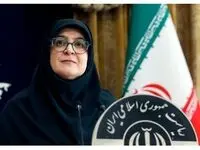دولت برای حمایت از کسب‌ و کارهای اینترنتی چه برنامه ای دارد؟ 