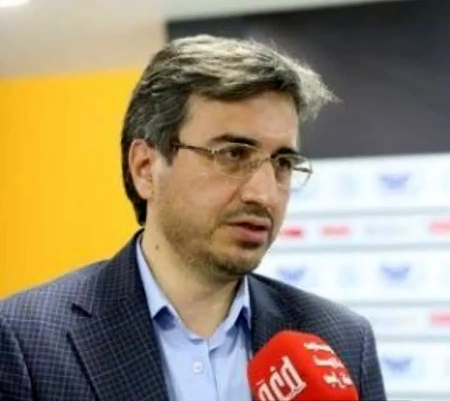 نبوی مدیر عامل گروه توسعه ملی شد