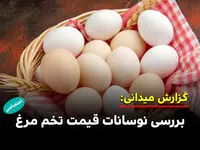 بررسی نوسانات قیمت تخم مرغ در بازار 