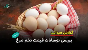بررسی نوسانات قیمت تخم مرغ در بازار 