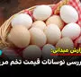 بررسی نوسانات قیمت تخم مرغ در بازار 