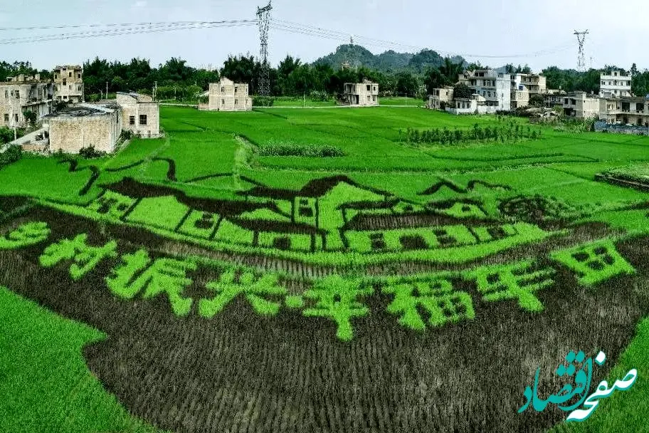  سند چین برای ترسیم نقشه راه توسعه روستایی