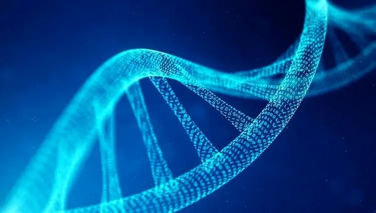 آغاز پروژه بحث‌برانگیز ساخت DNA انسان 
