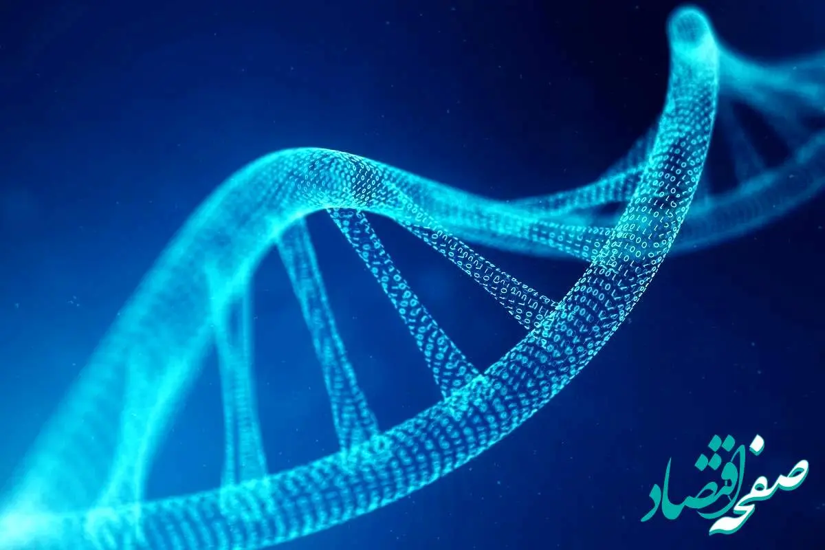آغاز پروژه بحثبرانگیز ساخت DNA انسان