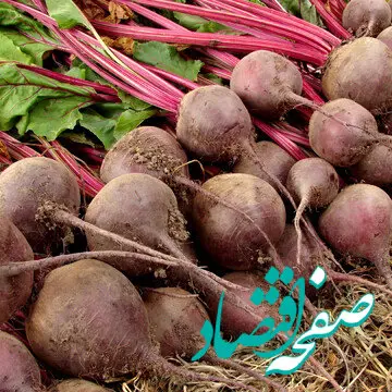 چرا باید هر روز این سبزی قرمز را مصرف کنید؟| رازهایی برای قلب و مغز شما