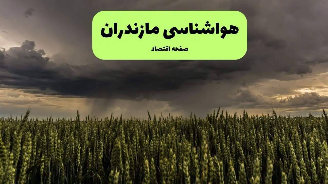 فردا هوای مازندران جمعه ۱۷ مرداد ۱۴۰۴ چگونه است؟ | هواشناسی مازندران جمعه