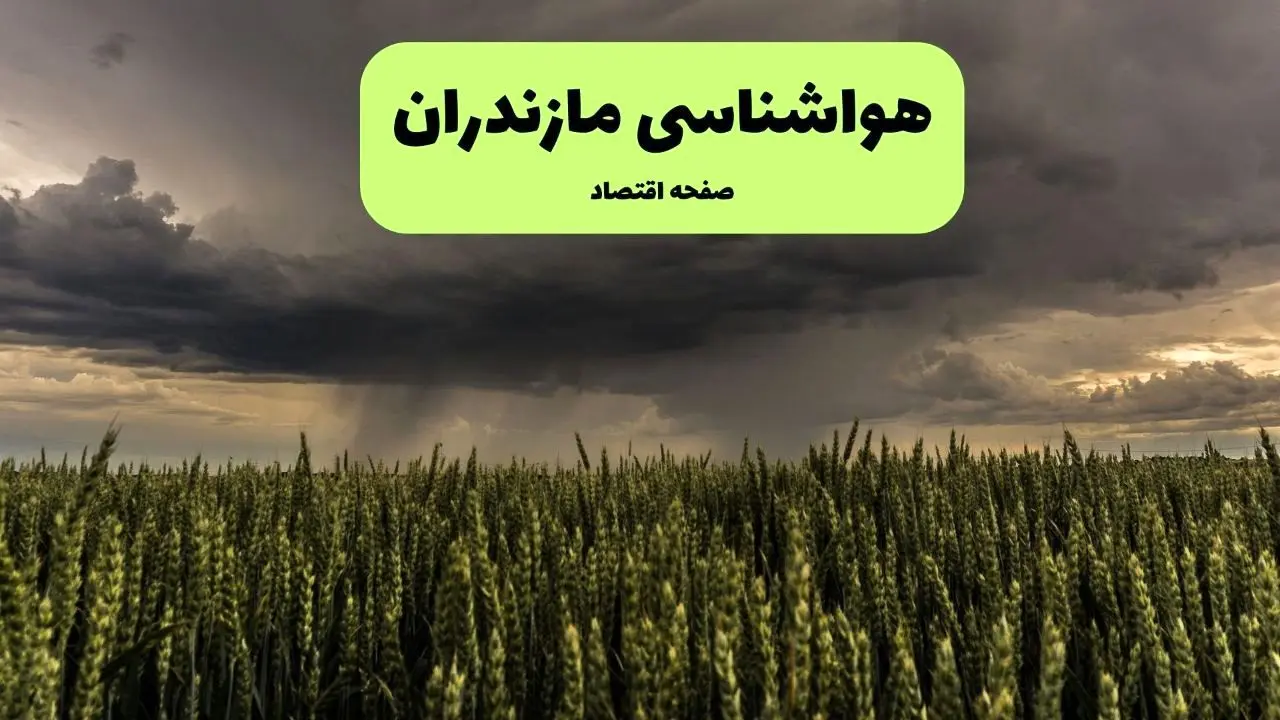 فردا هوای مازندران جمعه ۱۷ مرداد ۱۴۰۴ چگونه است؟ | هواشناسی مازندران جمعه