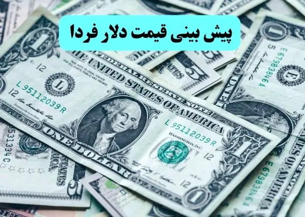 تحلیل قیمت دلار آمریکا امروز ۸ خرداد ماه ۱۴۰۵ | پیش بینی قیمت دلار آمریکا فردا تحت تاثیر نوسانات