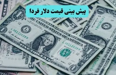 تحلیل قیمت دلار آمریکا امروز ۸ خرداد ماه ۱۴۰۵ | پیش بینی قیمت دلار آمریکا فردا تحت تاثیر نوسانات