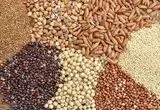 جدول قیمت انواع نهاده های دامی و محصولات کشاورزی ۱۲ مرداد ۱۴۰۵