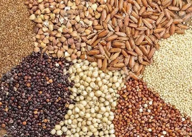جدول قیمت انواع نهاده های دامی و محصولات کشاورزی ۱۲ مرداد ۱۴۰۵
