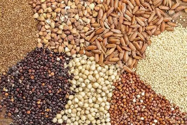 جدول قیمت انواع نهاده های دامی و محصولات کشاورزی ۱۲ مرداد ۱۴۰۵