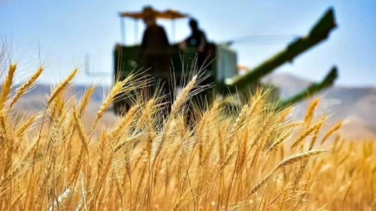 چشم انتظاری کشاورزان کردستانی برای وصول مطالباتشان