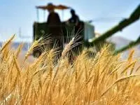 چشم انتظاری کشاورزان کردستانی برای وصول مطالباتشان 