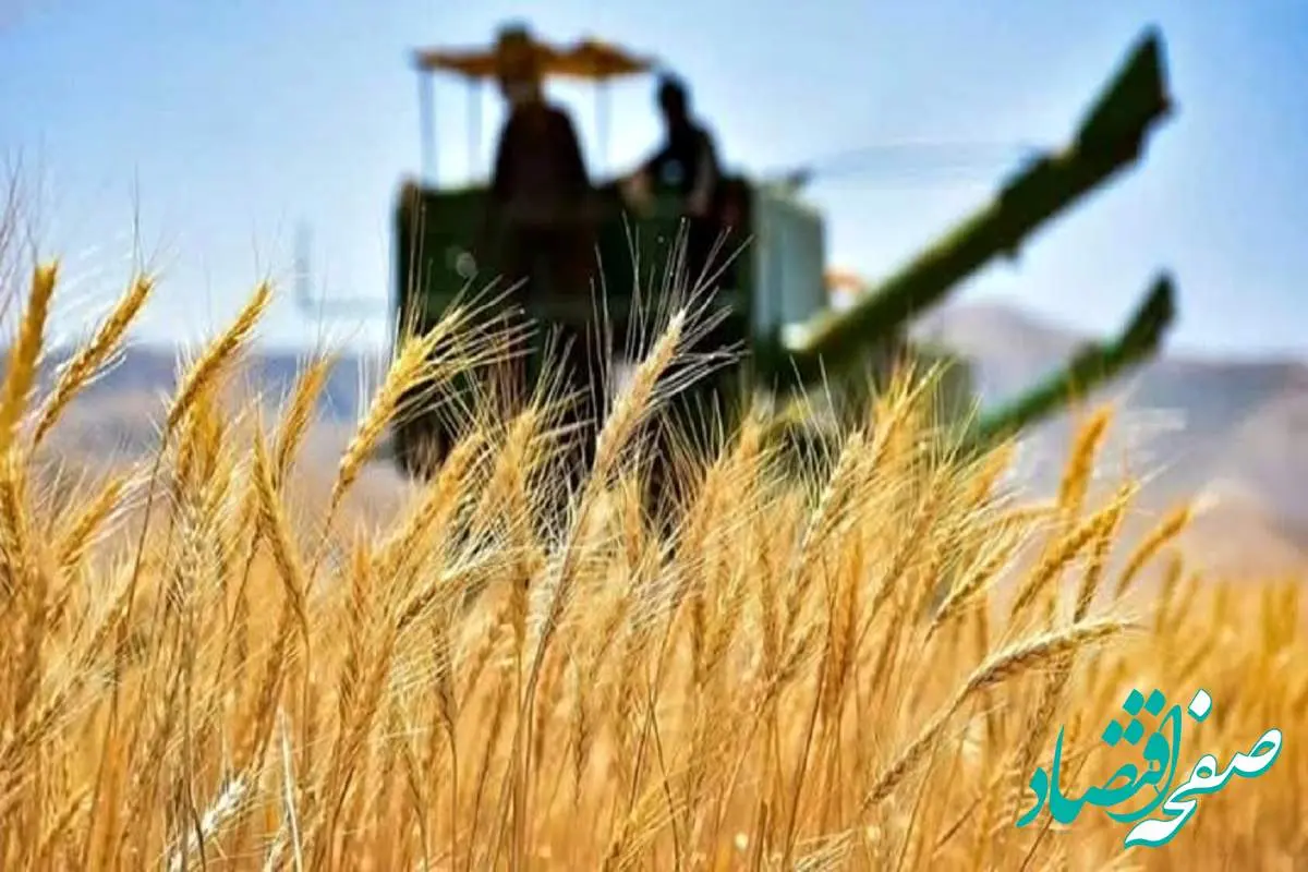 چشم انتظاری کشاورزان کردستانی برای وصول مطالباتشان 