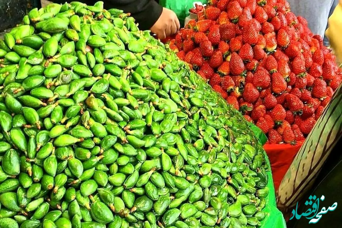 قیمت میوه نوبرانه امروز چهارشنبه ۲۲ فروردین ۱۴۰۳