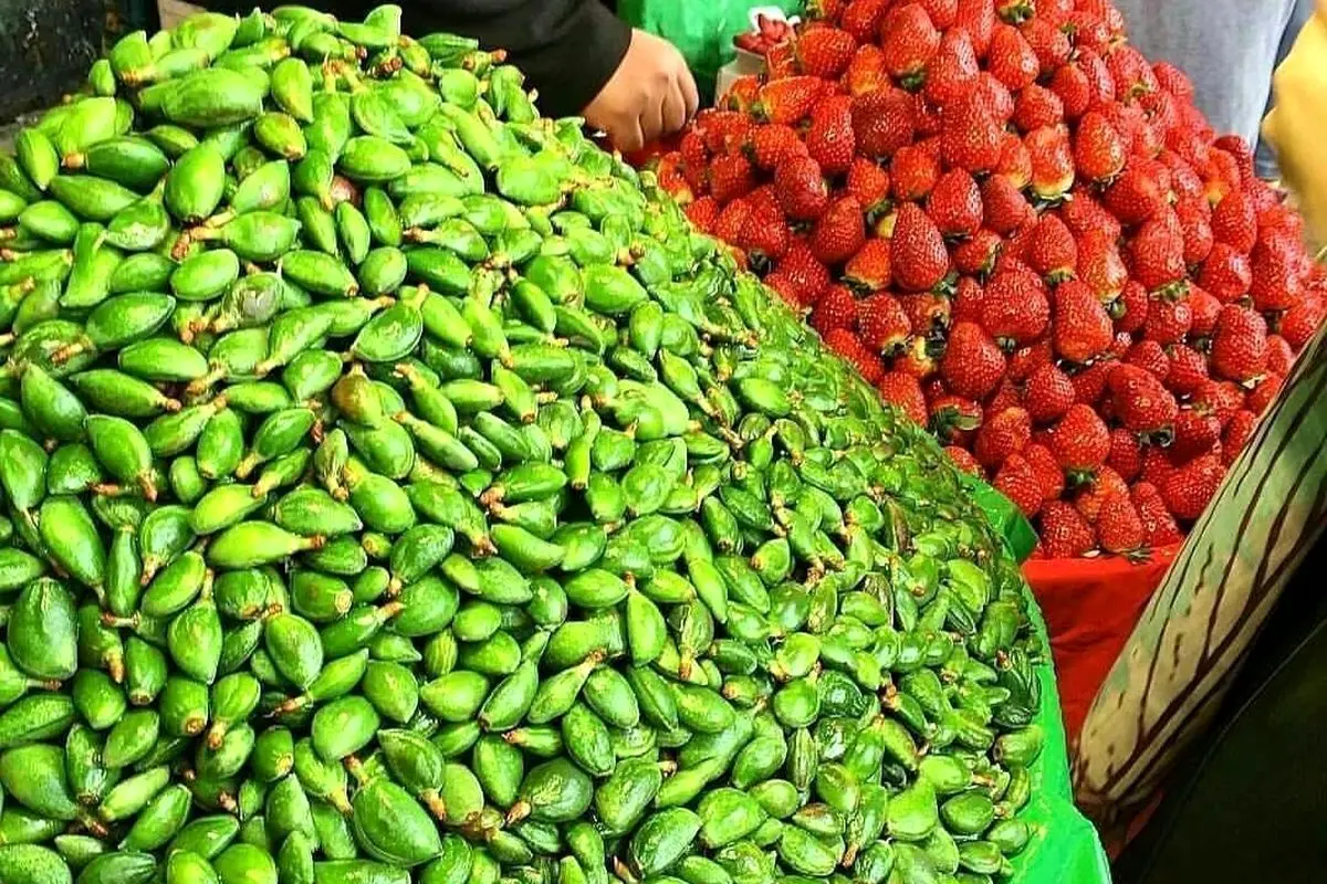قیمت میوه نوبرانه امروز چهارشنبه ۲۲ فروردین ۱۴۰۳