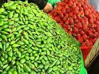 قیمت میوه نوبرانه امروز چهارشنبه ۲۲ فروردین ۱۴۰۳