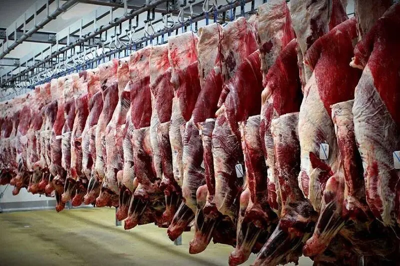 شقه گوسفندی چند؟ /جدیدترین قیمت گوشت قرمز امروز دوشنبه ۲۰ اسفند ۱۴۰۳