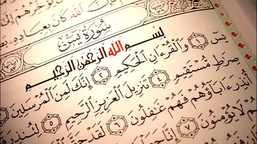 متن سوره یس همراه با ترجمه فارسی + فایل صوتی