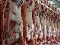 قیمت گوشت قرمز به سمت صعود می رود؟