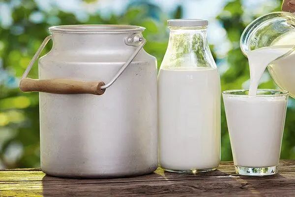 دولت باید تا شیرها در خیابان ریخته نشده‌اند خرید حمایتی کند