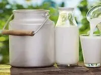 دولت باید تا شیرها در خیابان ریخته نشده‌اند خرید حمایتی کند
