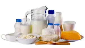 افشاگری جدید گرانی لبنیات: بیماری تب برفکی و بحران علوفه، قیمت شیر را ۵۶ درصد بالا برد!