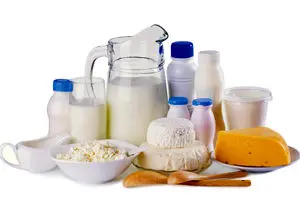 افشاگری جدید گرانی لبنیات: بیماری تب برفکی و بحران علوفه، قیمت شیر را ۵۶ درصد بالا برد!