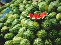 آخرین خبر قیمت انواع میوه و صیفی شب یلدایی
