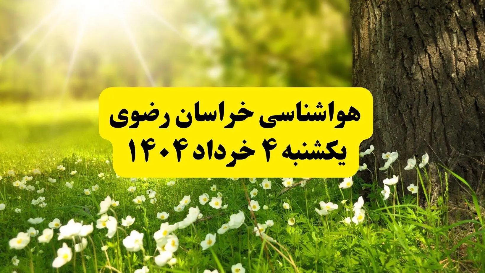 هواشناسی خراسان رضوی فردا یکشنبه ۴ خرداد ۱۴۰۴ | وضعیت آب و هوای مشهد یکشنبه چهارم خرداد ۱۴۰۴ | آخرین خبر هواشناسی استان خراسان رضوی