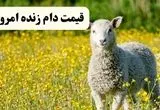 اعلام جدیدترین قیمت دام زنده امروز ۲۹ اردیبهشت ۱۴۰۴/ گوسفند بالاخره کوتاه آمد