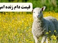 جدول قیمت دام زنده امروز ۲ خرداد ۱۴۰۴ + جزئیات | گوسفند زنده امروز کیلویی چند؟