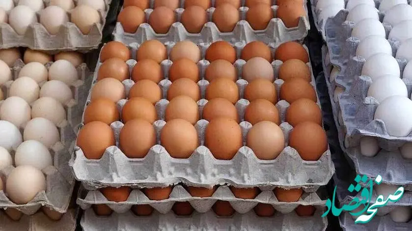 قیمت تخم مرغ امروز اعلام شد؛ عرضه به‌صورت کافی!