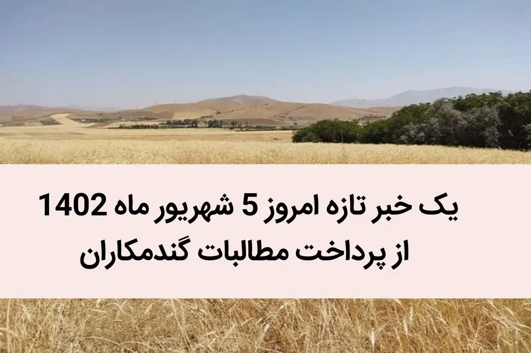 مطالبات گندم کاران با چه قیمتی پرداخت شد؟ 
