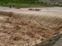 هشدار فوری در مازندران: به... 