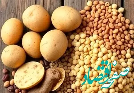 آیا محدودیت صادرات سیب زمینی برداشته شد؟ 